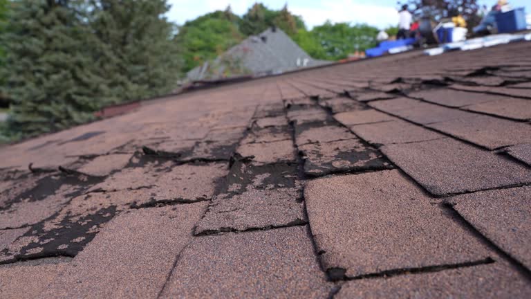 Best Cold Roofs  in Alice, TX