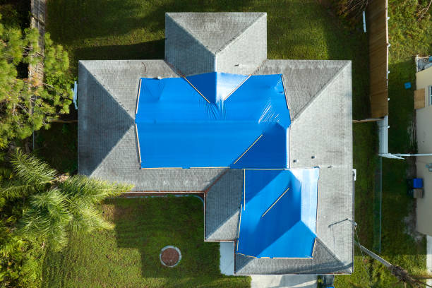 Best Roof Leak Repair  in Alice, TX