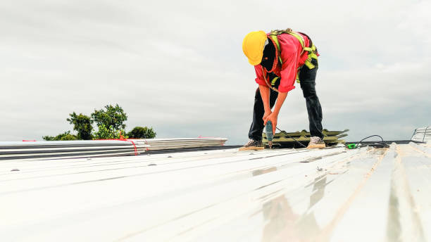 Best Gutter Replacement  in Alice, TX