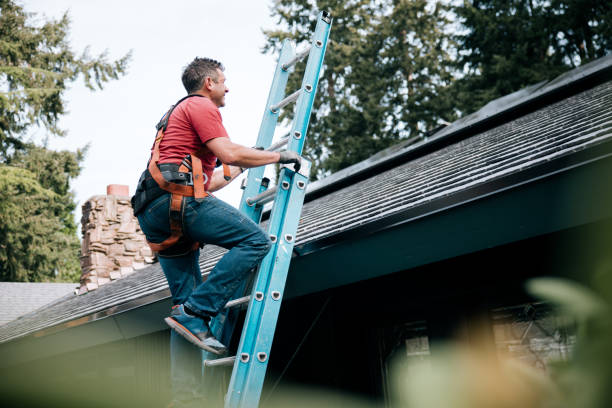 Best Skylight Installation and Repair  in Alice, TX