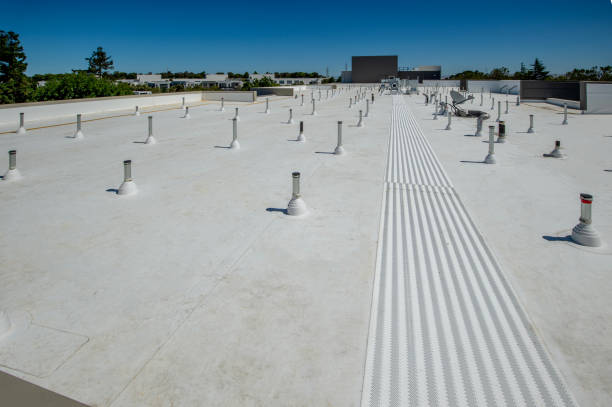 Best Metal Roofing Installation  in Alice, TX